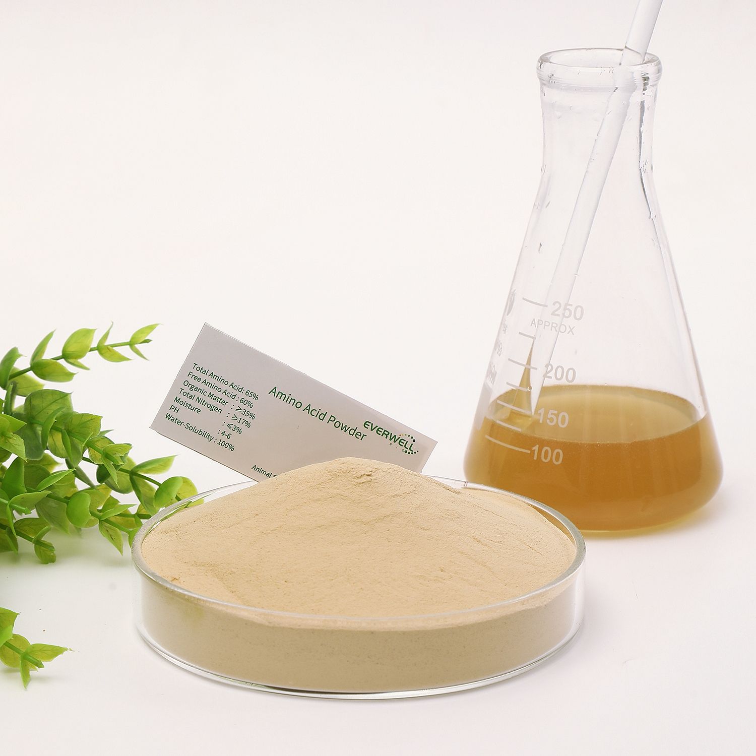 What is compound amino acid powder
