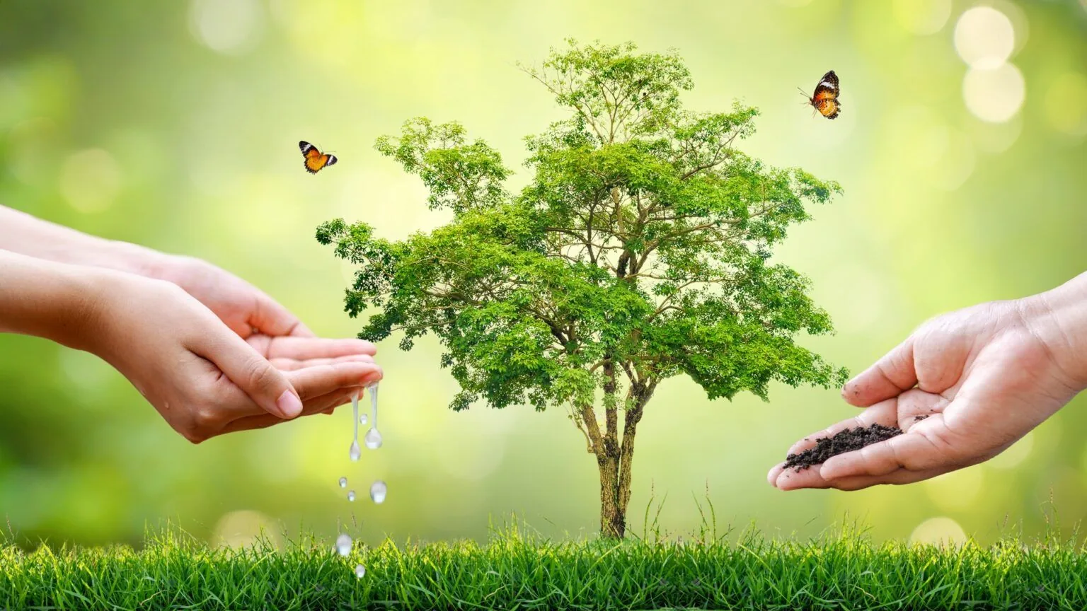خط التنقية — ترشيح وإزالة الشوائب