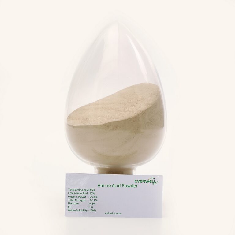 Amino Acids 80