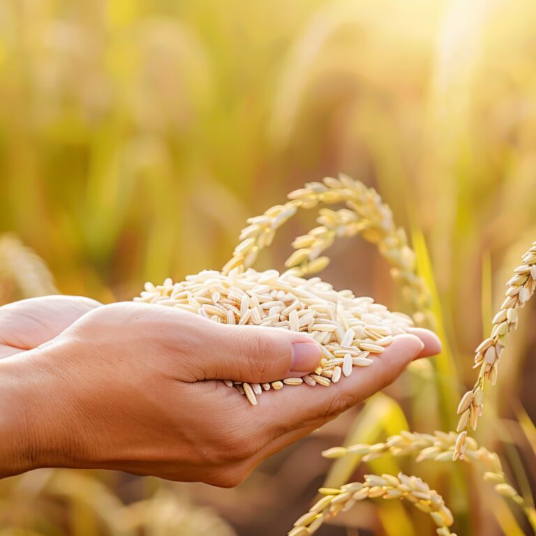 Advantages of amino acid 45 fertilizers